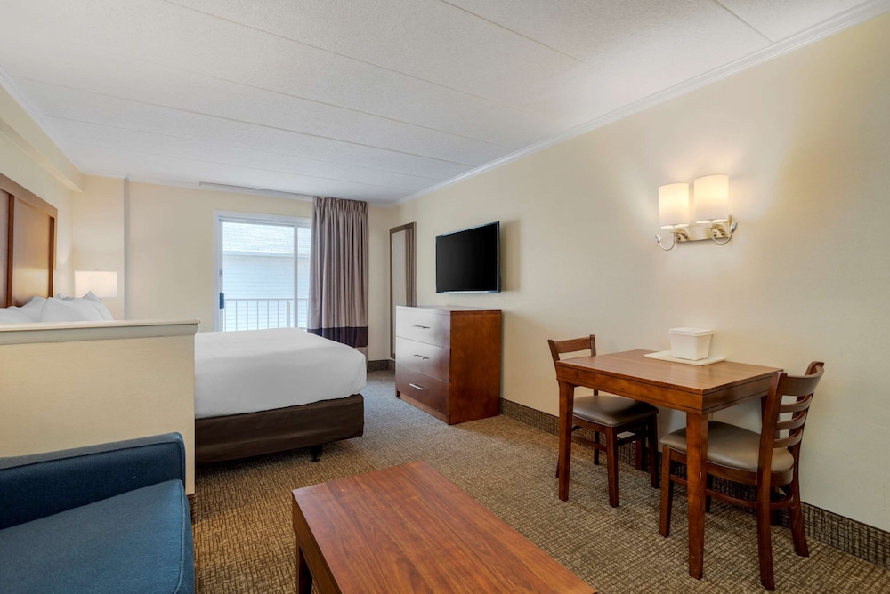 Standard Room, 1 King Bed with Sofa bed, Non Smoking, City View photo 3