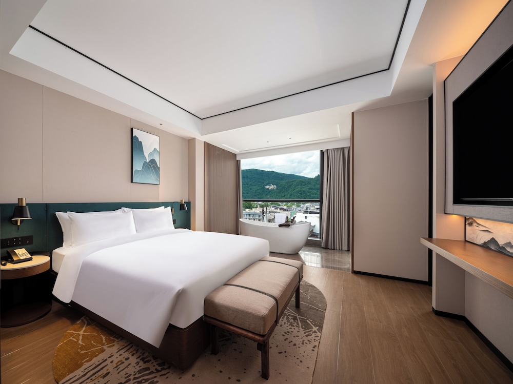 Deluxe Suite, 1 King Bed photo 2