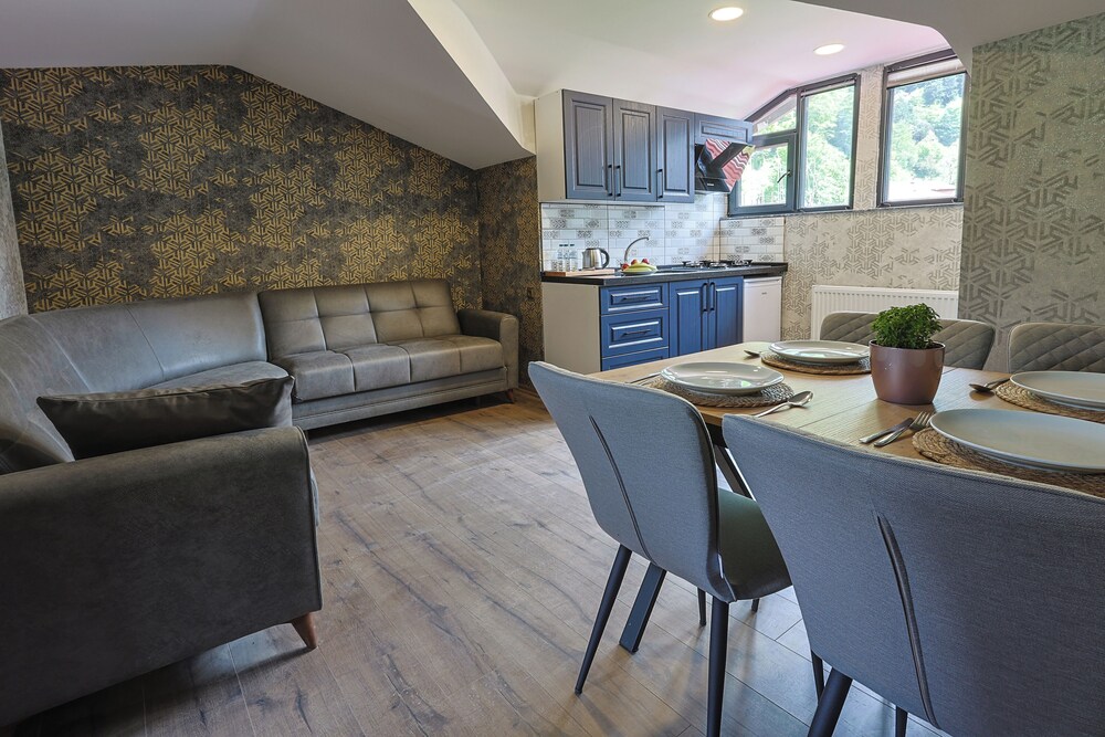 Family Apartment, Mountain View photo 3