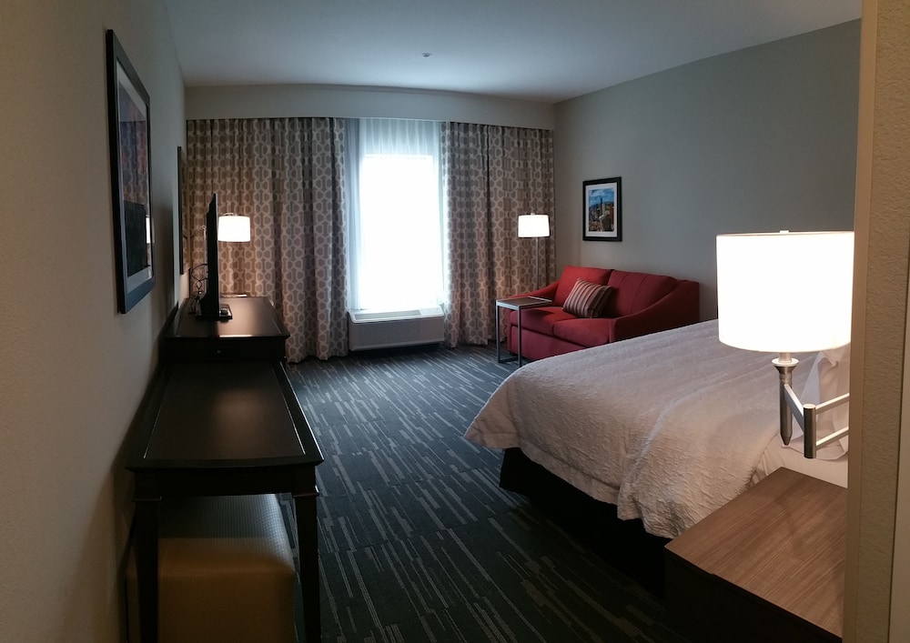 Room, 1 King Bed, Accessible, Bathtub (Mobility & Hearing) photo 1