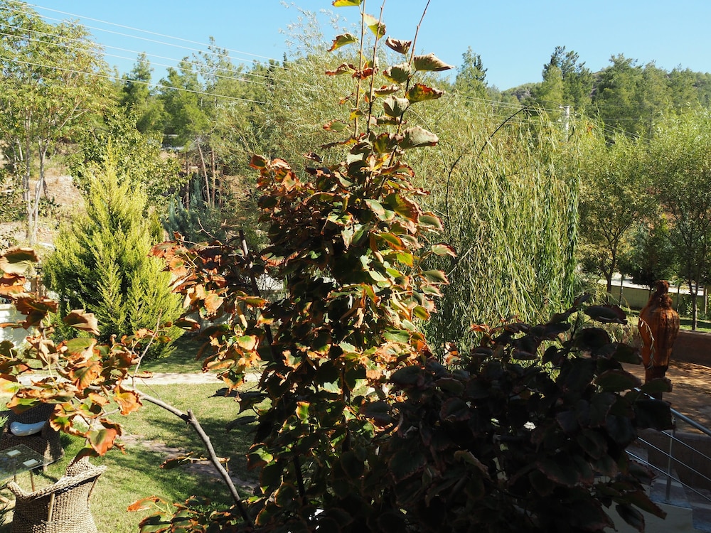 Family Room, Kitchenette photo 3
