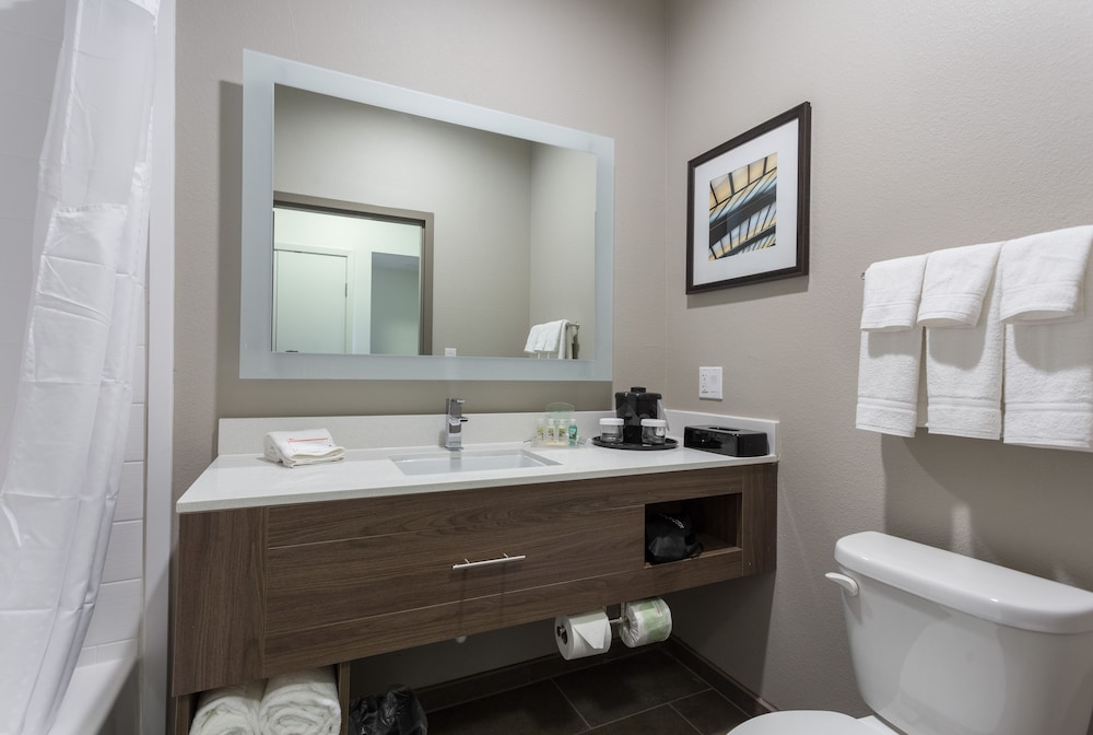 Holiday Inn San Marcos Convention Center by IHG, Photo 6
