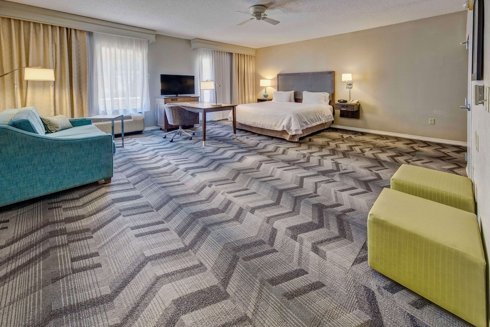 Suite, 1 King Bed, Non Smoking - Photo 4