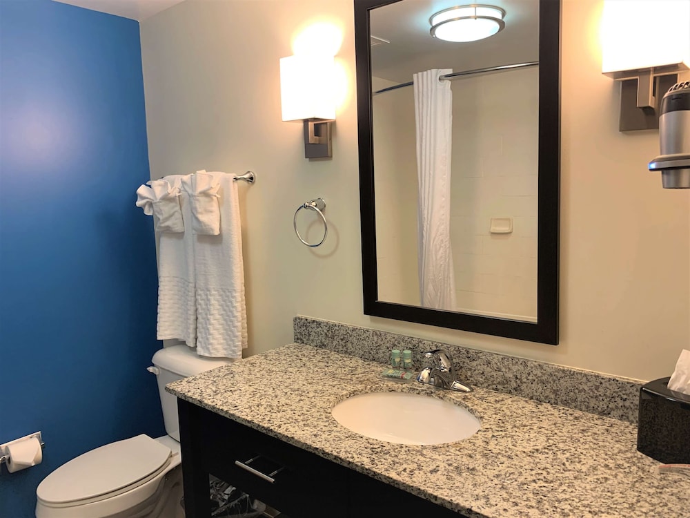 Suite, 1 King Bed, Accessible, Bathtub (With Sofabed) photo 2