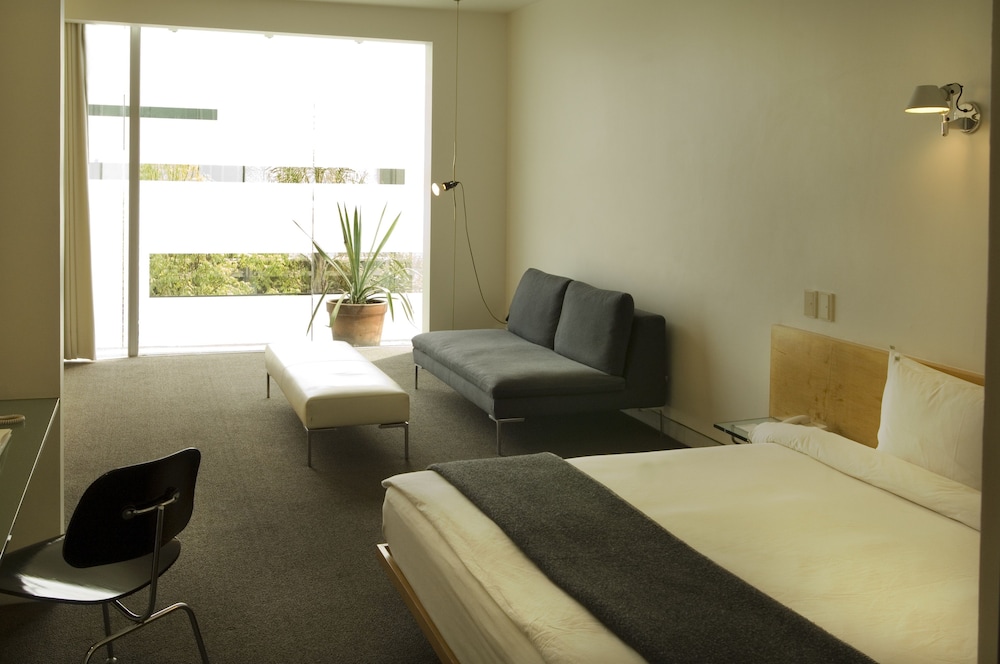 Junior Studio Suite