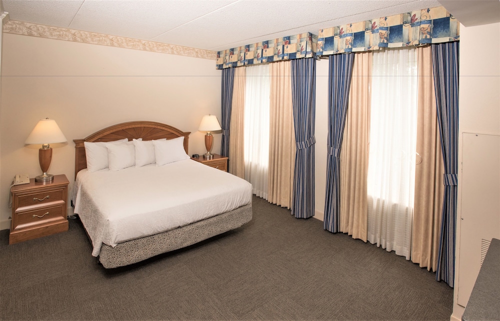Suite, 1 King Bed, Accessible - Photo 2