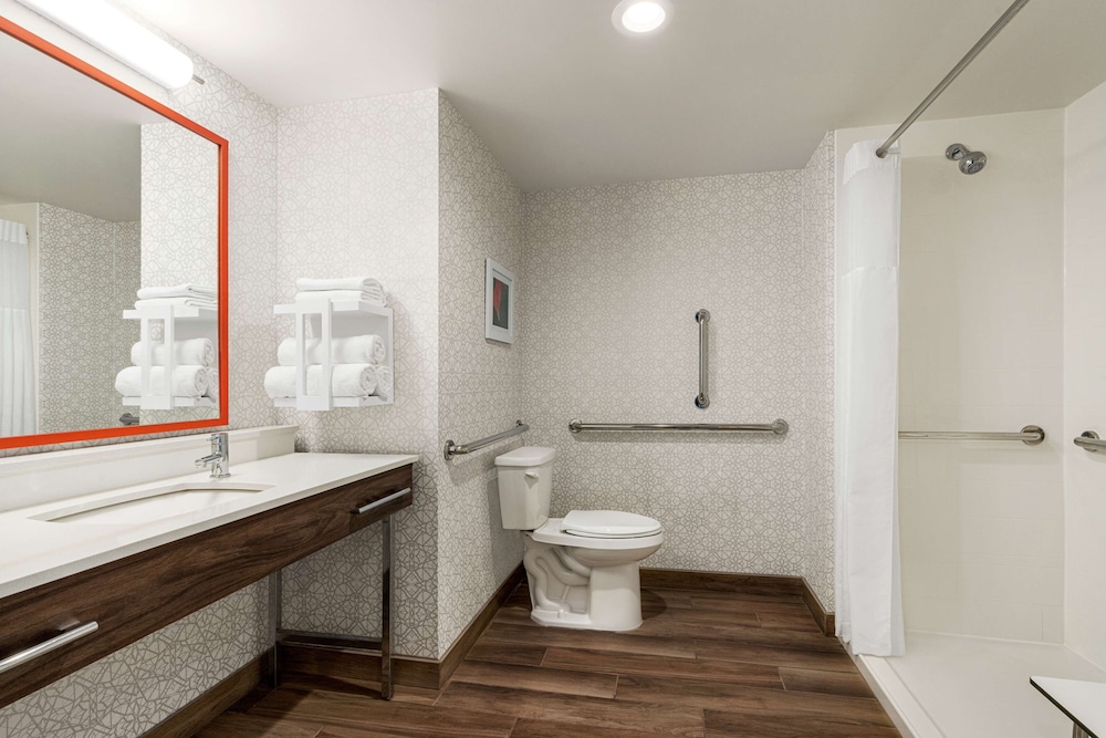 Room, 1 King Bed, Accessible (Roll-In Shower) - Photo 4