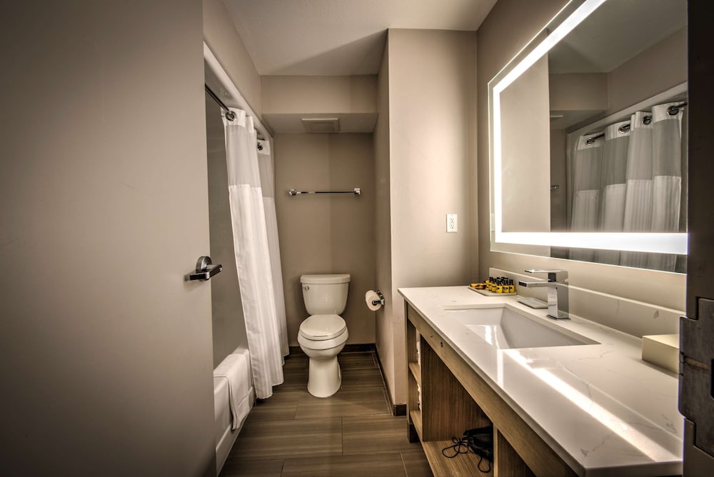 Suite, Multiple Beds, Non Smoking, Refrigerator & Microwave (with Sofabed) photo 3