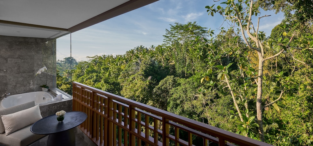 Forest View Room photo 3