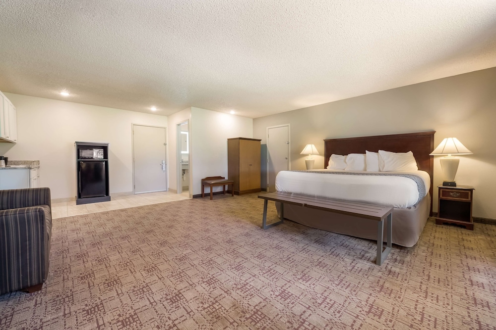Standard Room, 1 King Bed, Non Smoking, Kitchenette (with Sofabed) photo 3