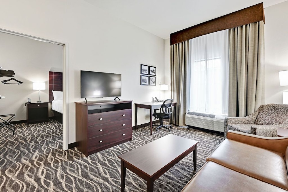 Suite, 1 King Bed with Sofa bed, Non Smoking (with Audible/Visual Alert) - Photo 1