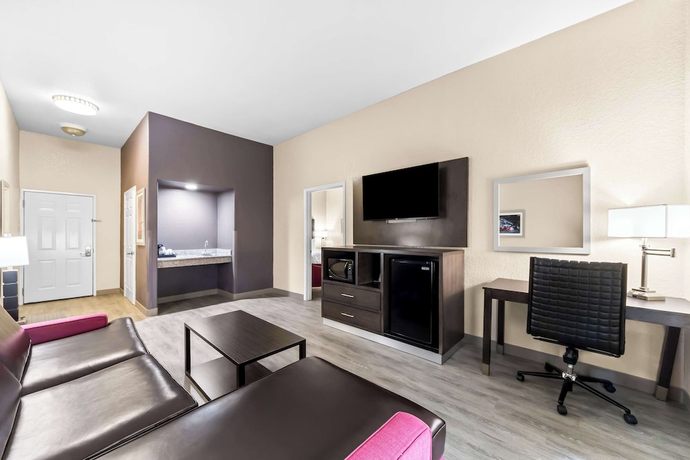 Suite, 1 King Bed, Accessible, Non Smoking (with Sofabed) - Photo 1