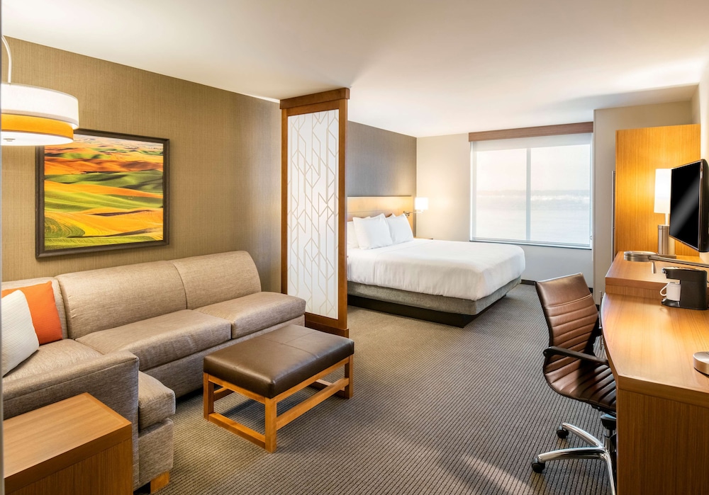 Room, 1 King Bed