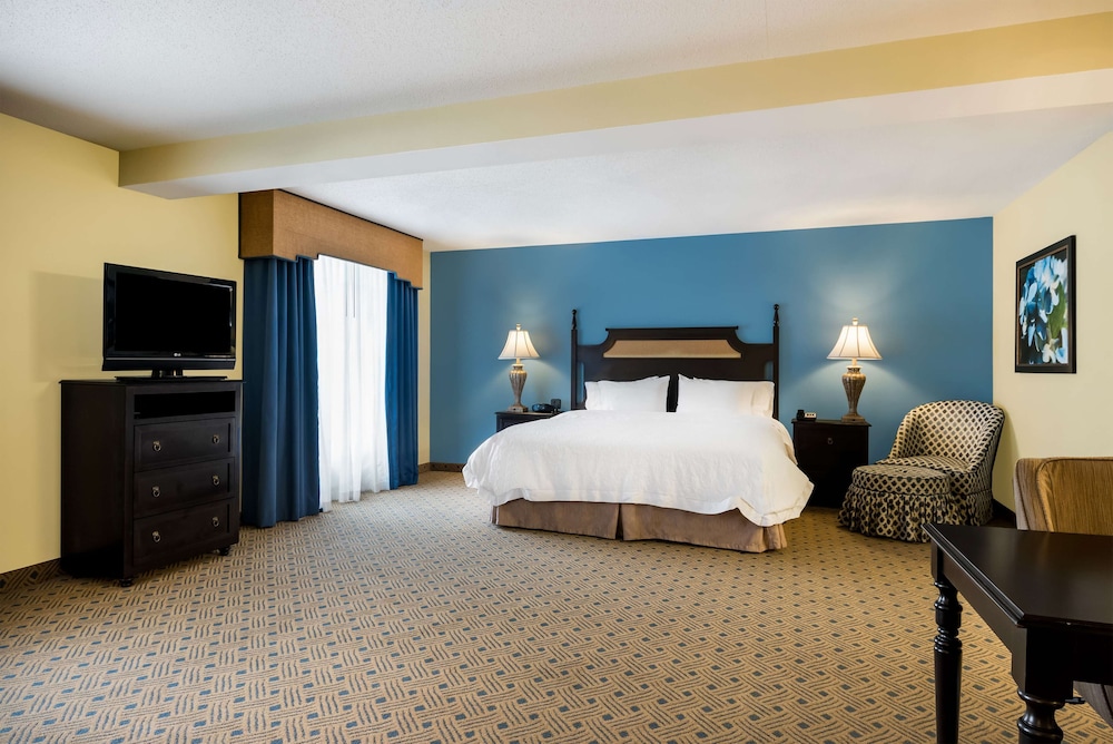 Studio Suite, 1 King Bed, Non Smoking - Photo 4