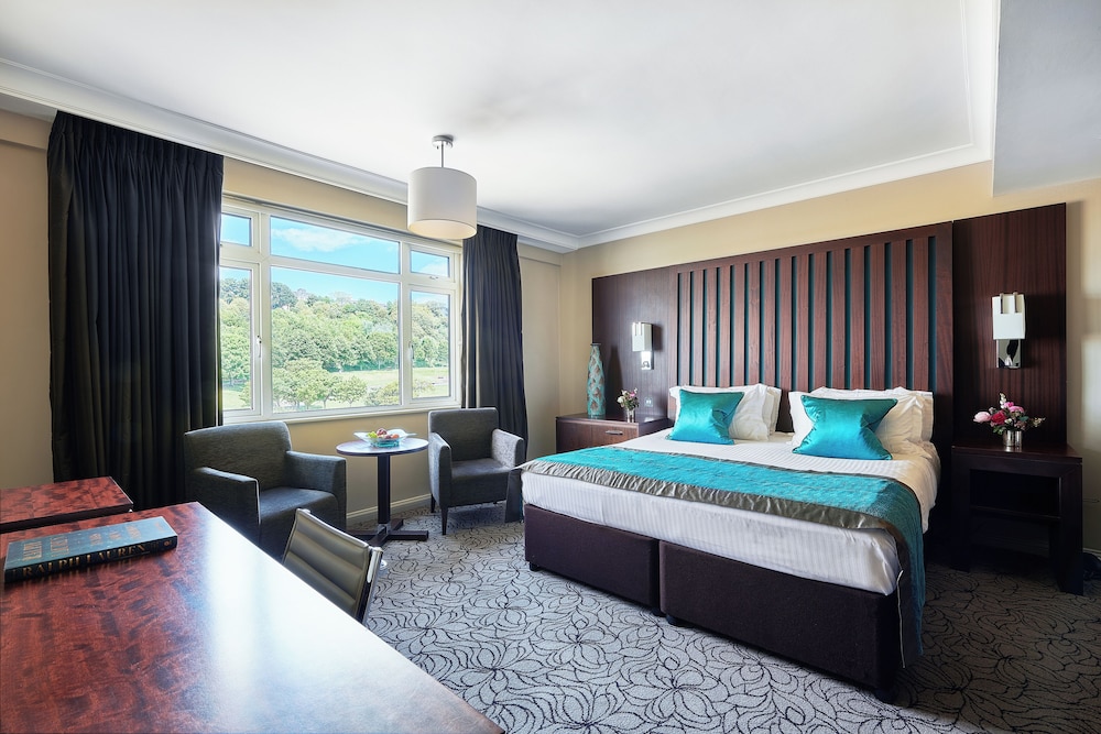 Deluxe Double or Twin Room, Park View