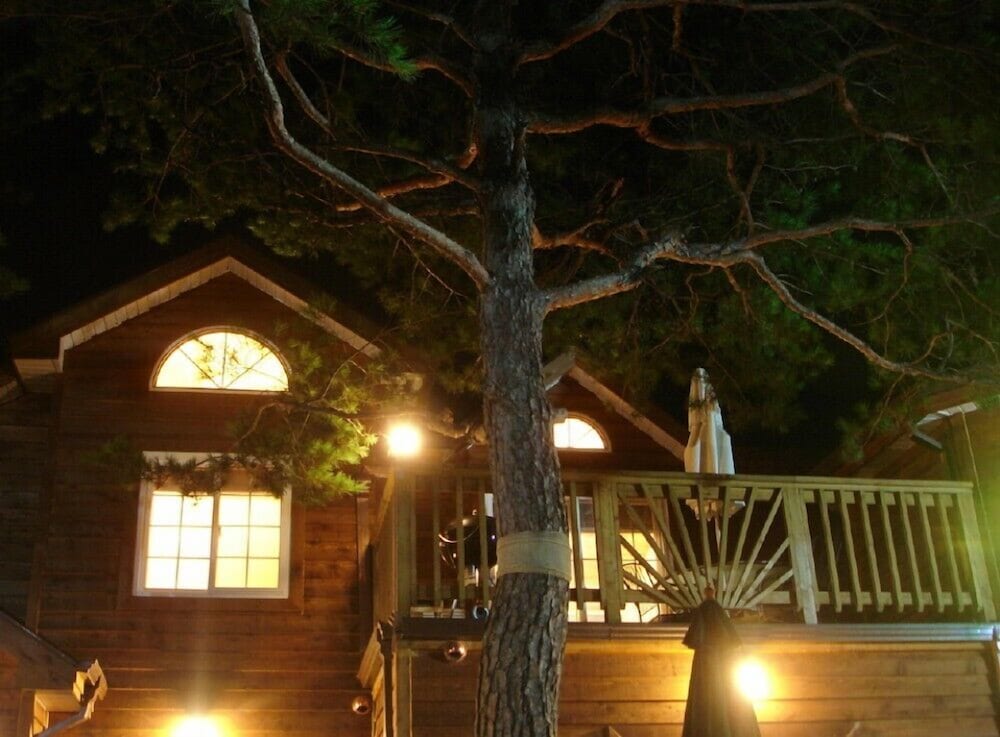 Room (Irin) - Photo 4
