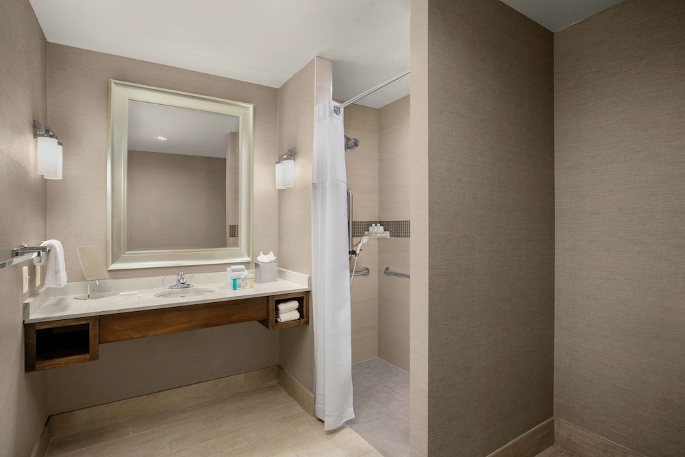 Room, 1 King Bed, Accessible, Non Smoking (Roll-in Shower), photo 6
