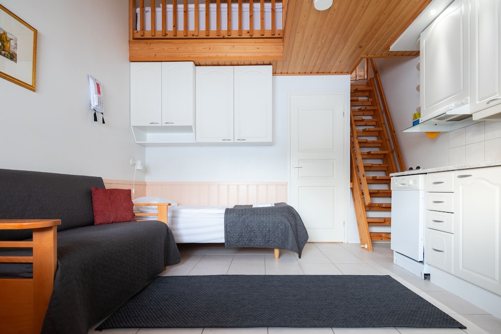 Economy Studio, Kitchen (Loft, Sauna) photo 3