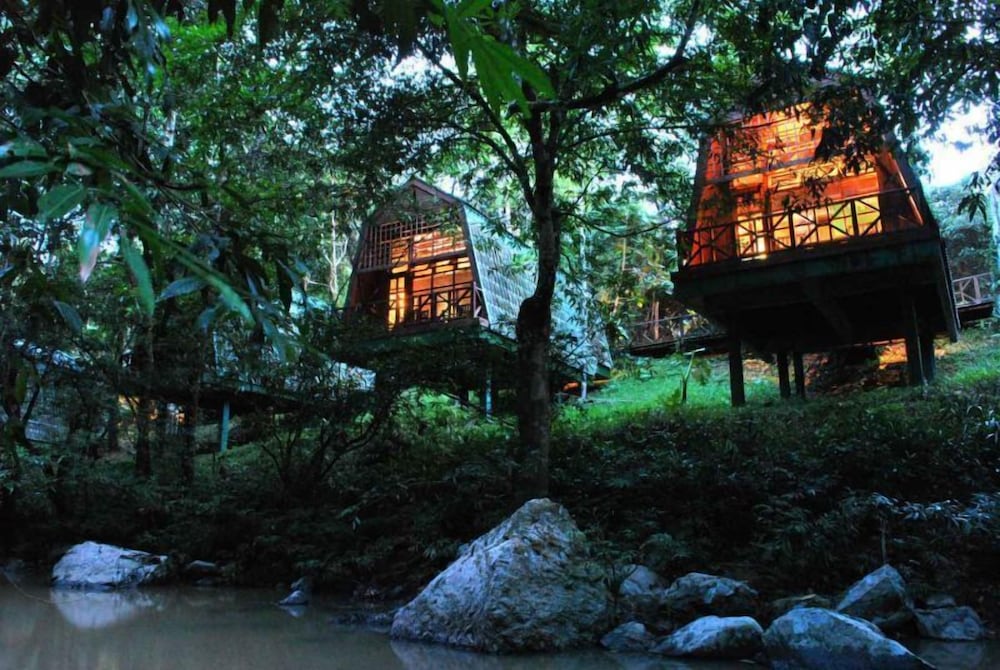 3D2N Tabin Wildlife Safari photo 3