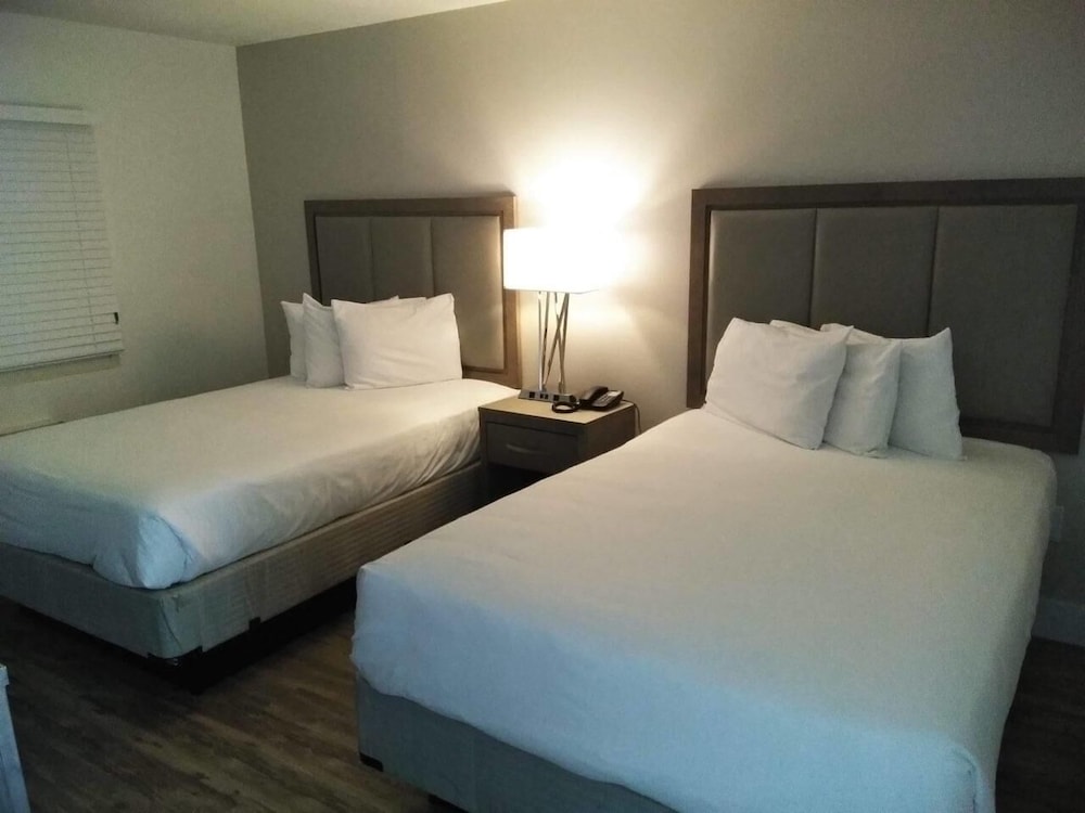 Deluxe Room, 1 Queen Bed photo 2