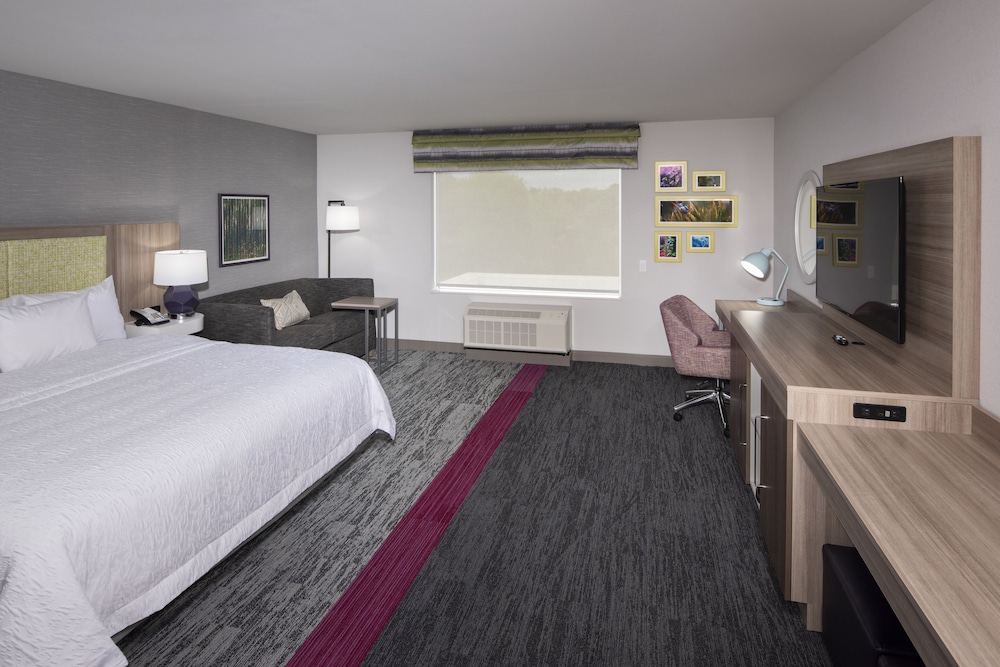 Room, 1 King Bed, Accessible (Hearing) photo 2