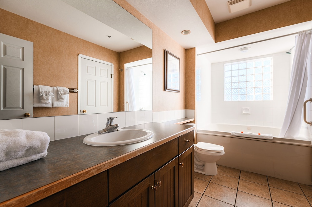 Premium Studio Suite, Multiple Beds photo 3