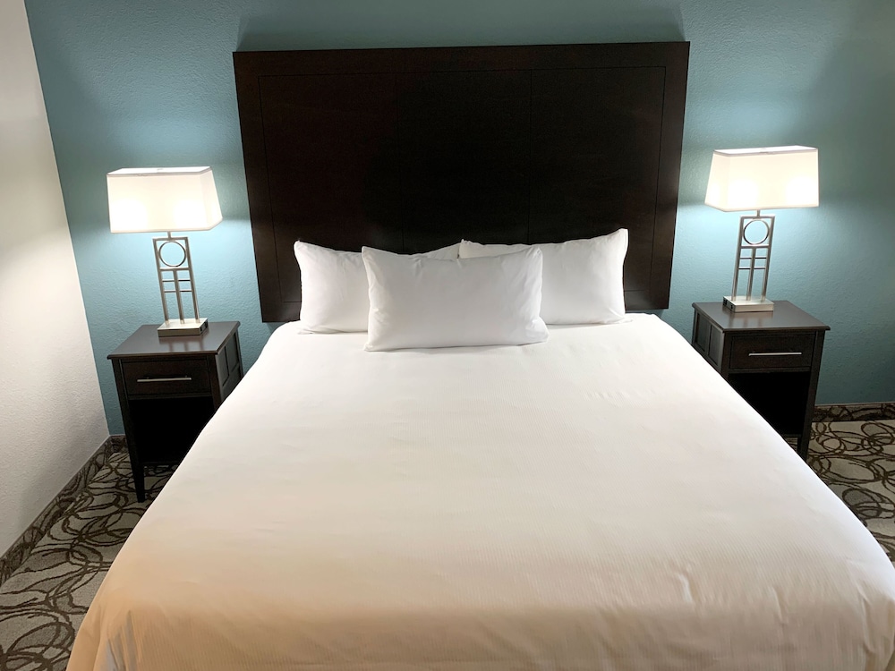 Room, 1 King Bed, Non Smoking photo 1