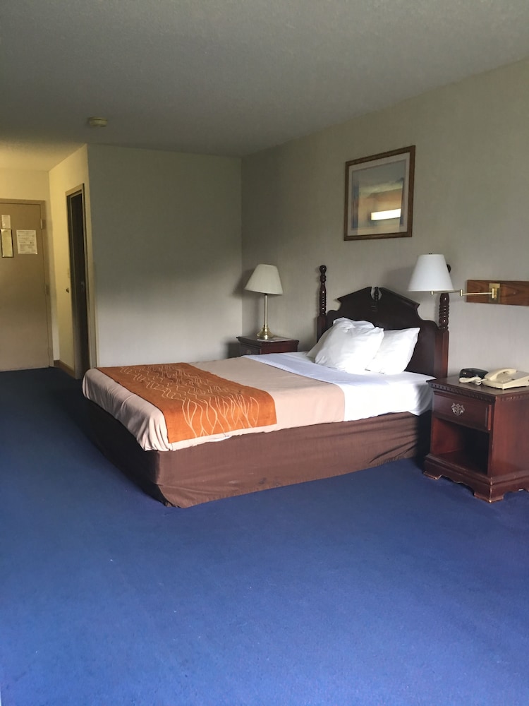 Room, 1 Queen Bed, Smoking photo 2