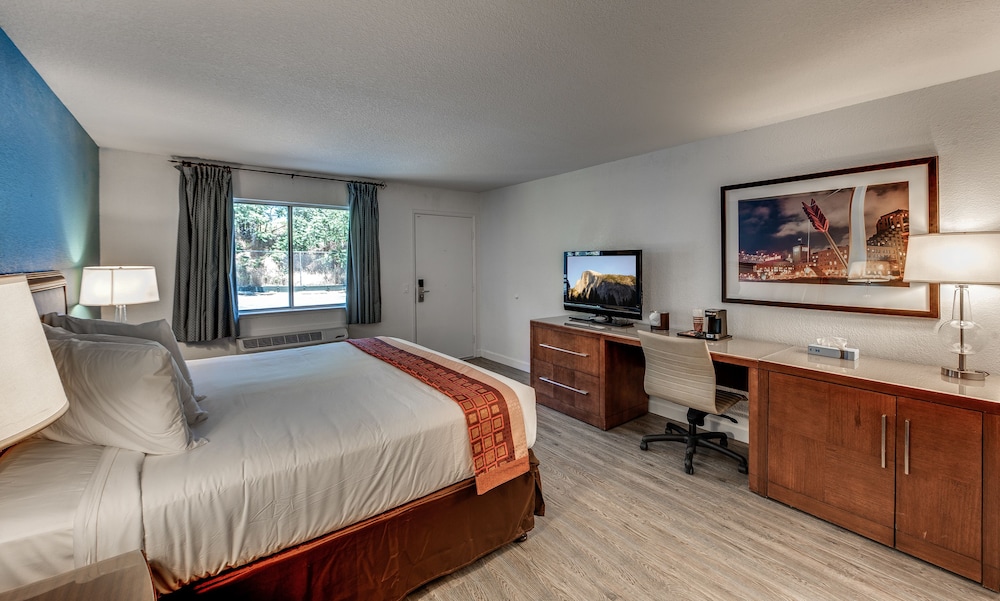 Standard Single Room, 1 King Bed, Accessible, Refrigerator & Microwave