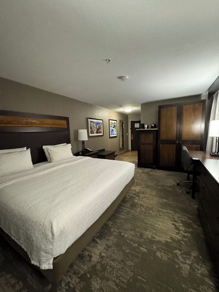 Room, 1 King Bed, Accessible (Mobility & Hearing, Roll-In Shower) photo 3