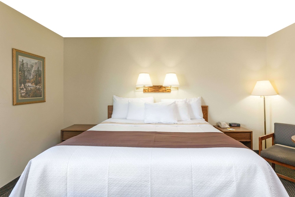 Suite, 1 King Bed photo 1