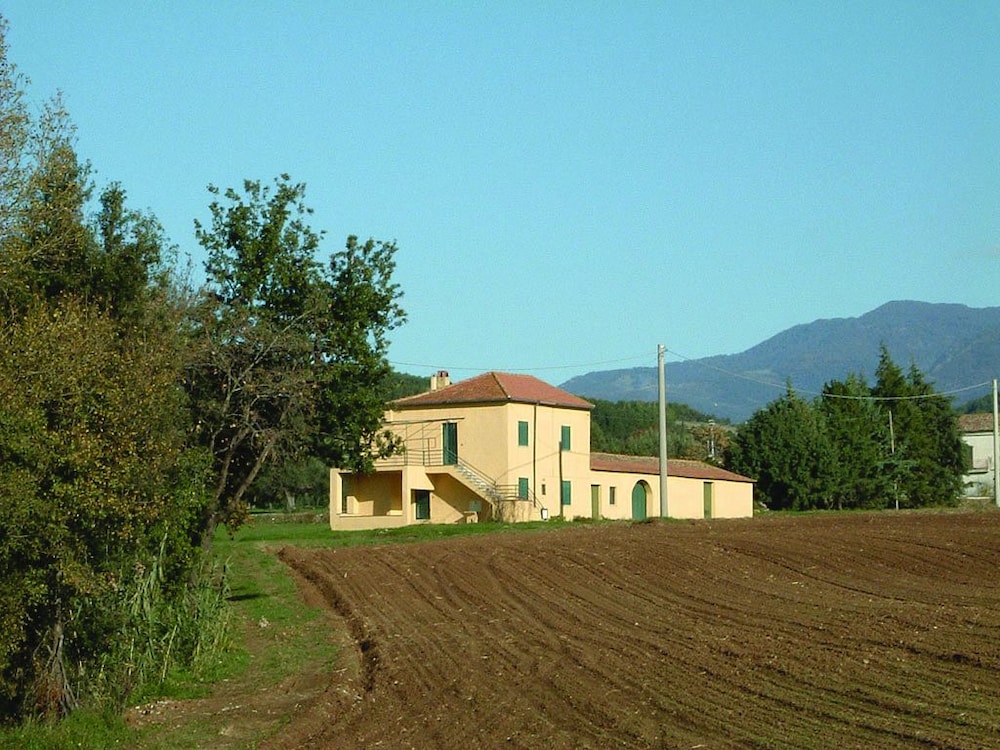 Traditional Condo