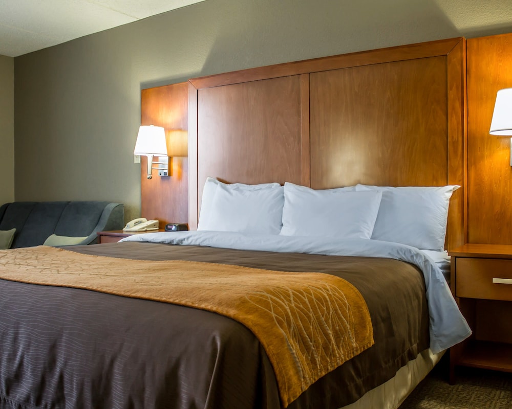 Standard Room, 1 King Bed with Sofa bed, Non Smoking - Photo 6