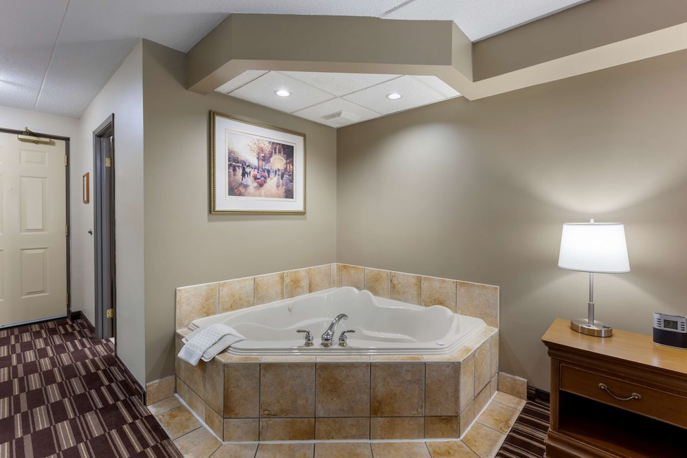 Standard Room, 1 King Bed, Non Smoking, Jetted Tub - Photo 4