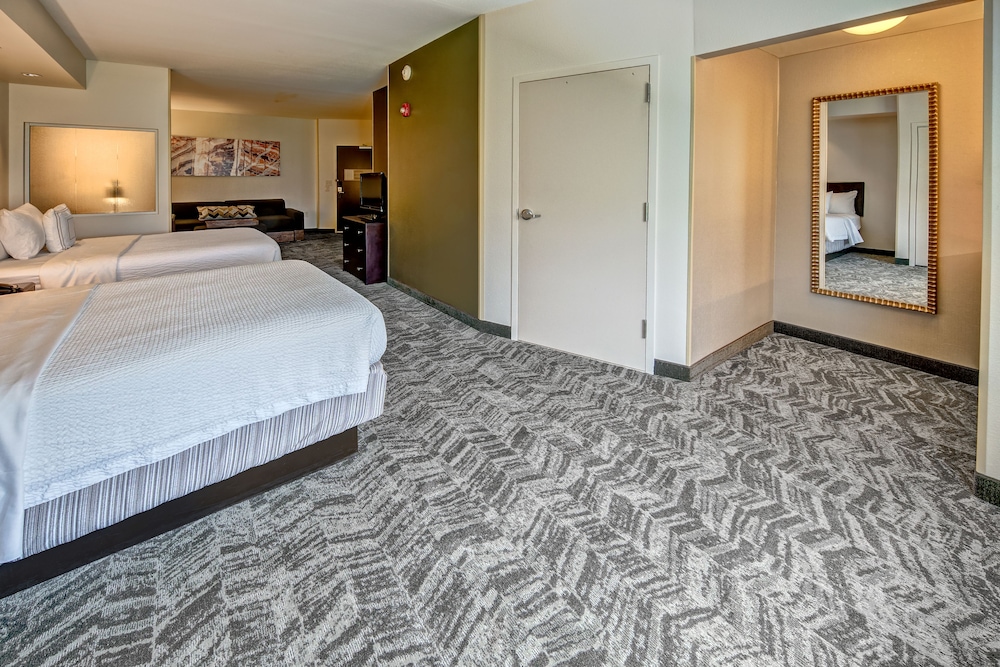 Studio, Multiple Beds (Mobility/Hearing Access, Roll-in Shwr)