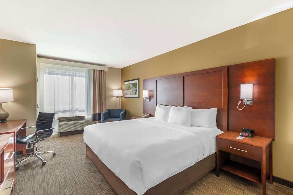 Standard Room, 1 King Bed, Non Smoking - Photo 1