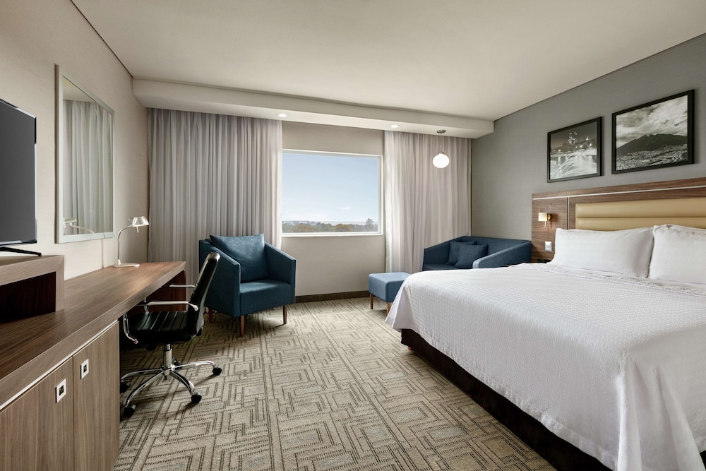 Room, 1 King Bed, Refrigerator