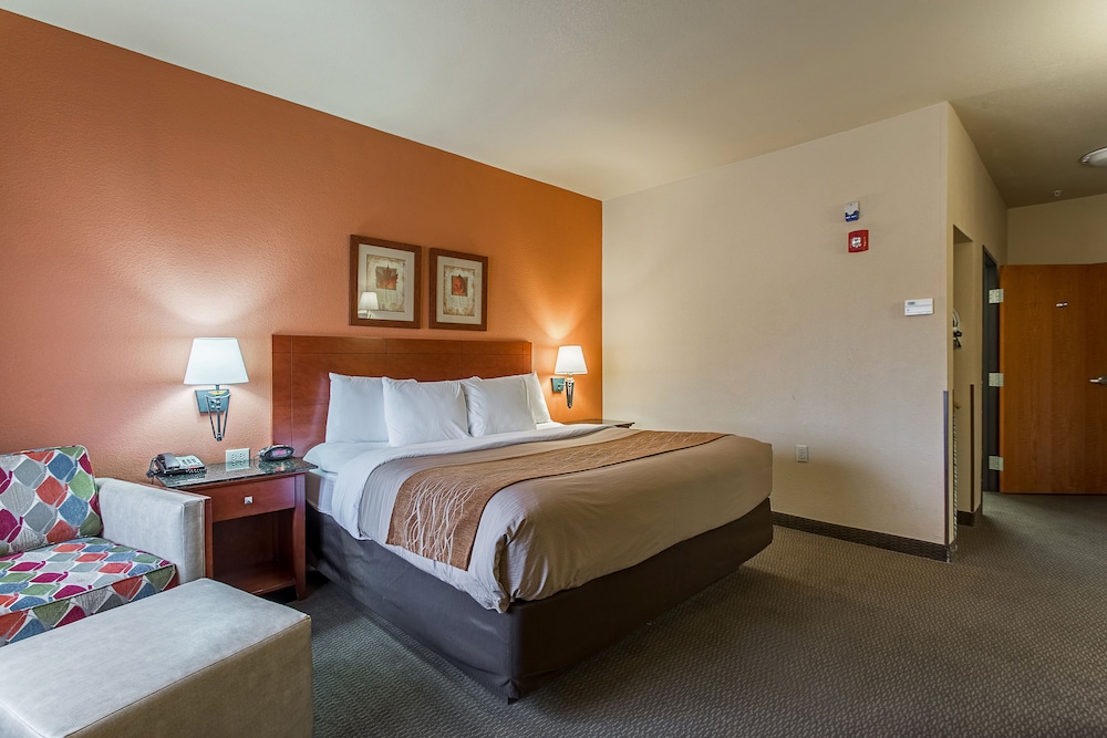 Standard Room, 1 King Bed, Accessible, Non Smoking - Photo 1