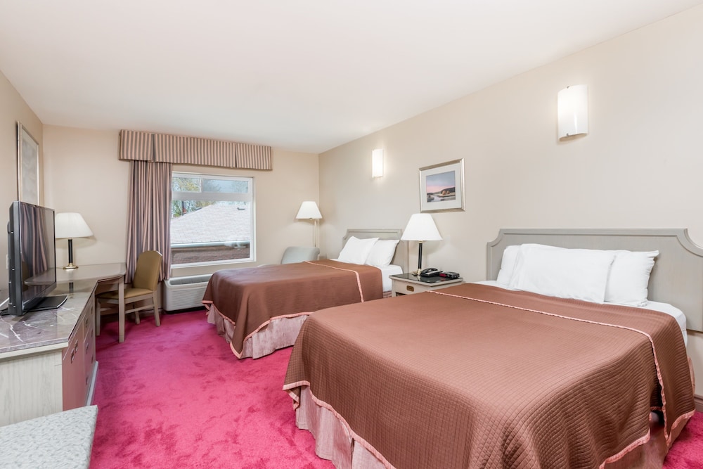 Suite, 2 Double Beds photo 2