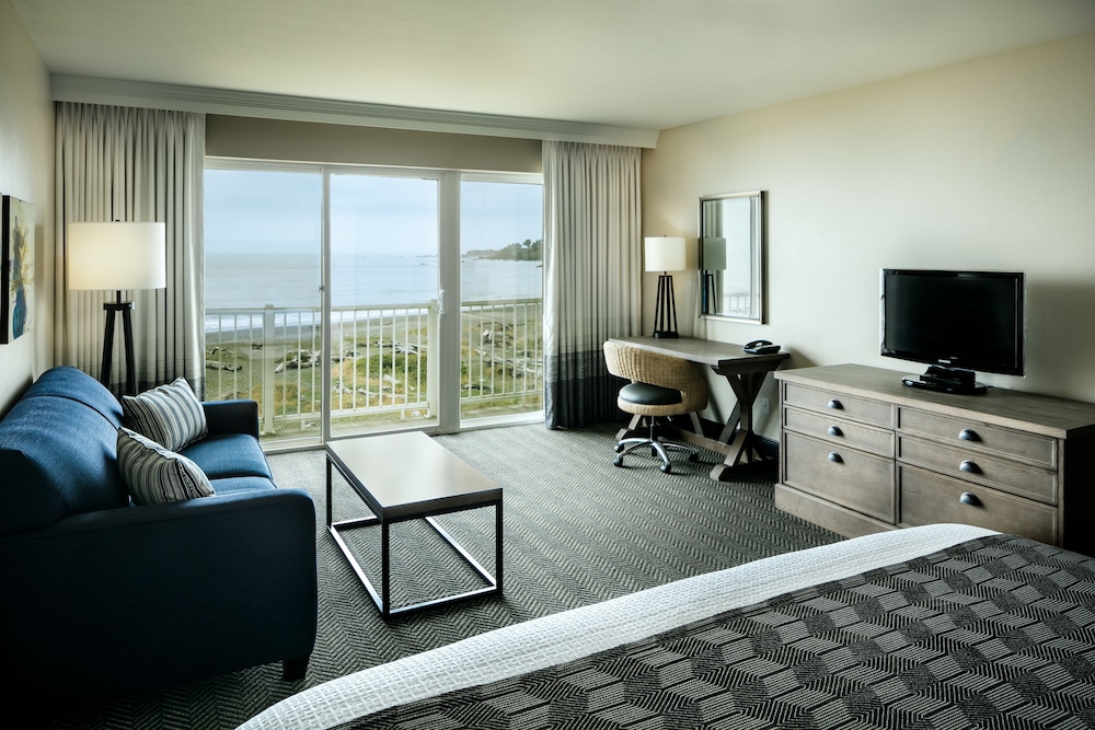 Room, 1 King Bed, Oceanfront (Ada,Pet Friendly) photo 1