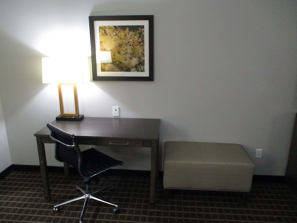 Standard Room, 1 King Bed, Non Smoking, Refrigerator & Microwave (Shower Only) photo 3