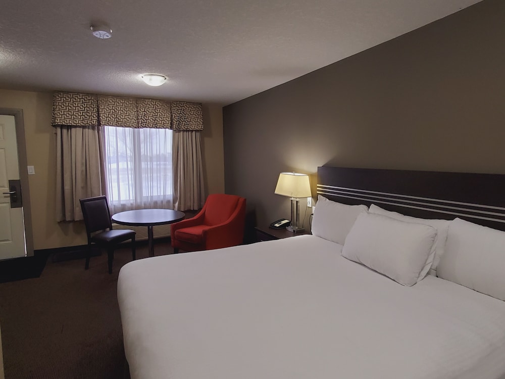 Standard Single Room, 1 Queen Bed photo 1