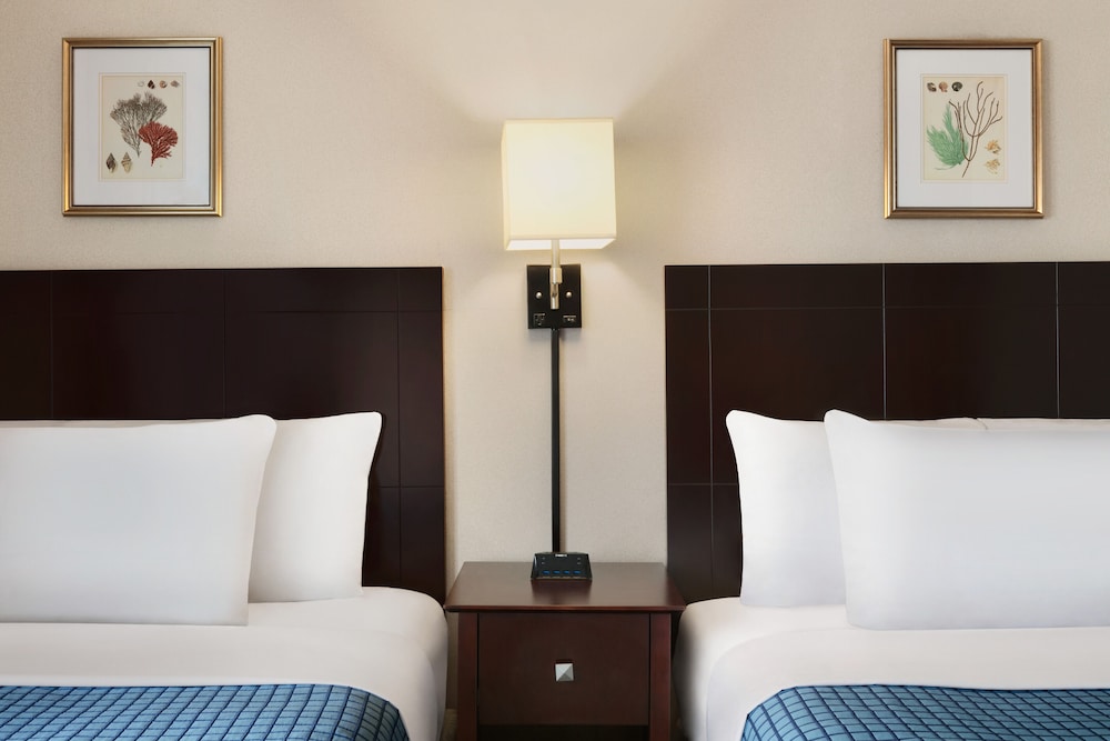 Standard Room, 2 Double Beds - Photo 12