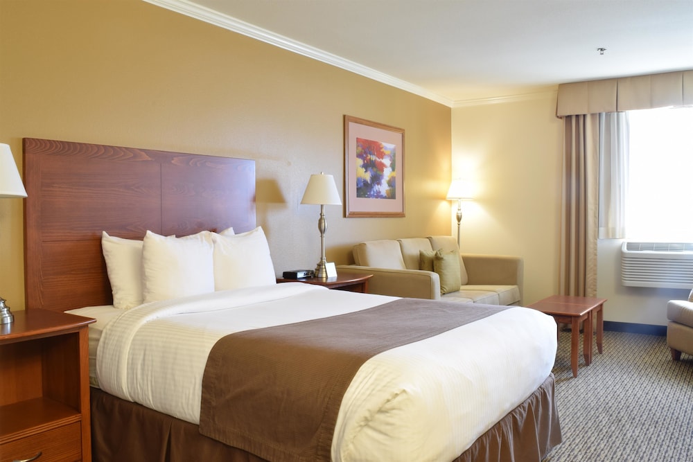 Standard Room, 1 Queen Bed, Accessible, Bathtub (Pet Friendly;with Sofabed) photo 3