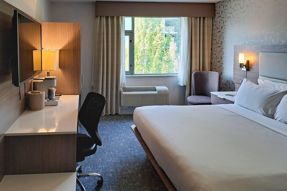 Business Room, 1 King Bed, Non Smoking (Upgrade) - Photo 4