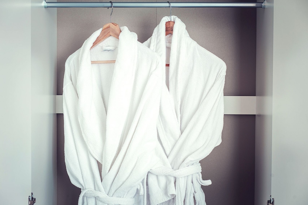 Exclusive Suite, 1 King Bed, Park View photo 3