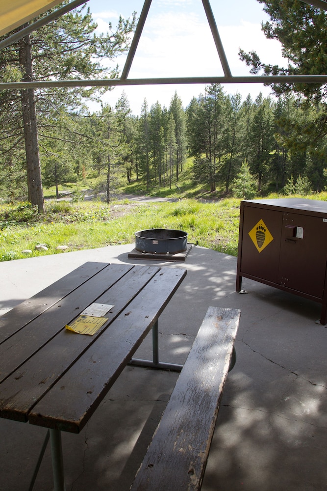Tent Cabins (Camping - no electricity, no bed linens, shared bath) photo 2
