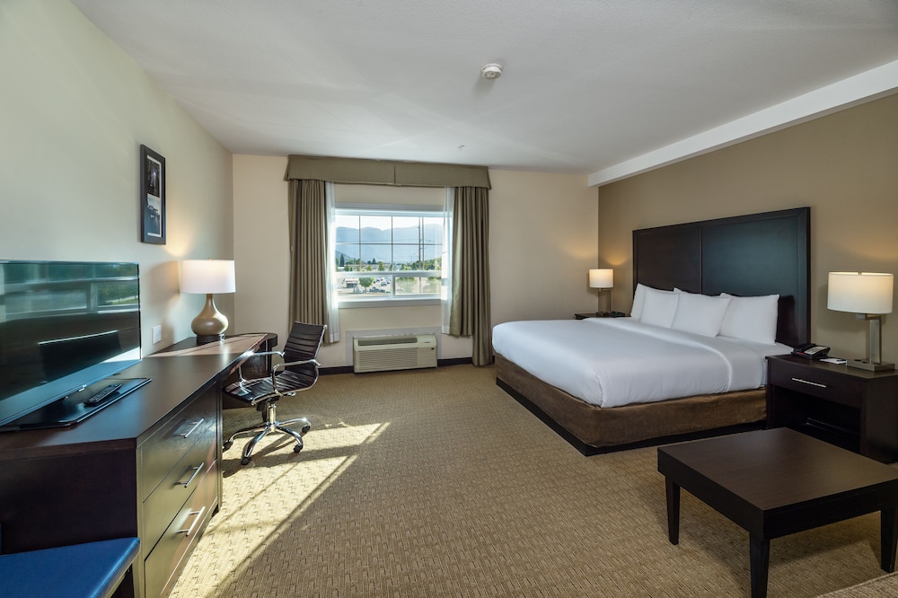 Standard Room, 1 King Bed with Sofa bed, Non Smoking