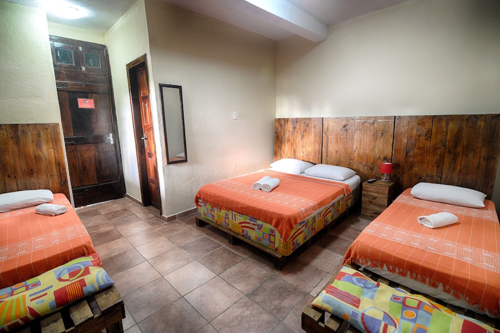 Basic Quadruple Room photo 3