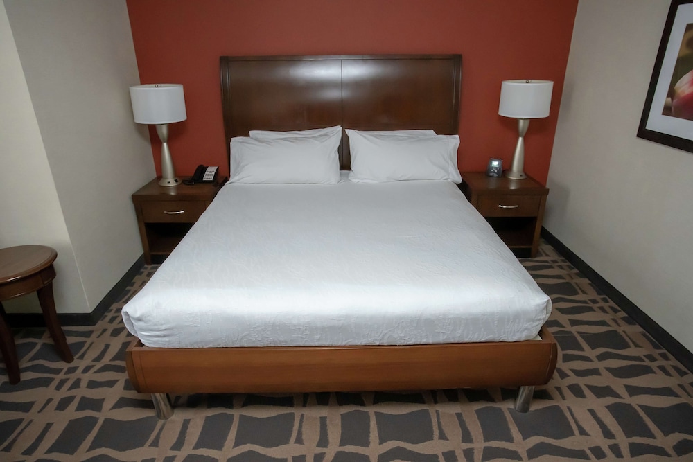 Junior Suite, 1 King Bed, Accessible photo 1